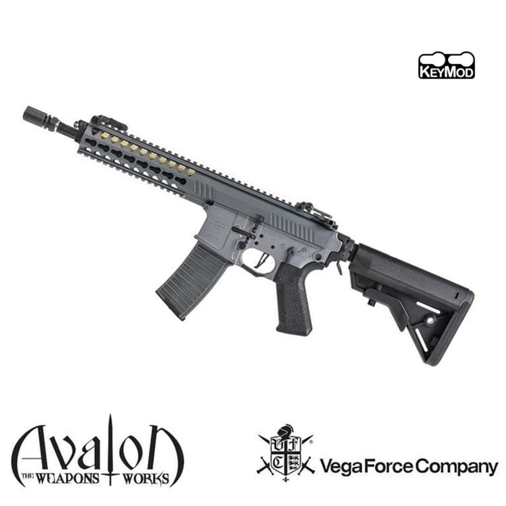 AVALON GLADIUS AEG(DX/Urban Gray)