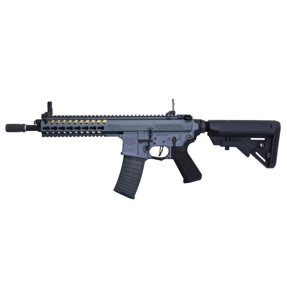 AVALON GLADIUS AEG(DX/Urban Gray)