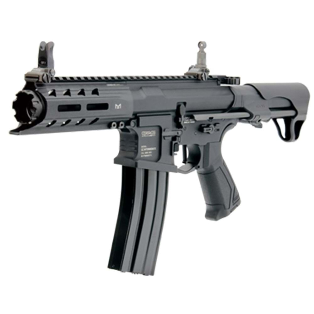 GG ARP 556 AEG Airsoft Tüfek - Siyah