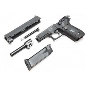 WE SIGSAUER F229 RAIL GBB AIRSOFT TABANCA
